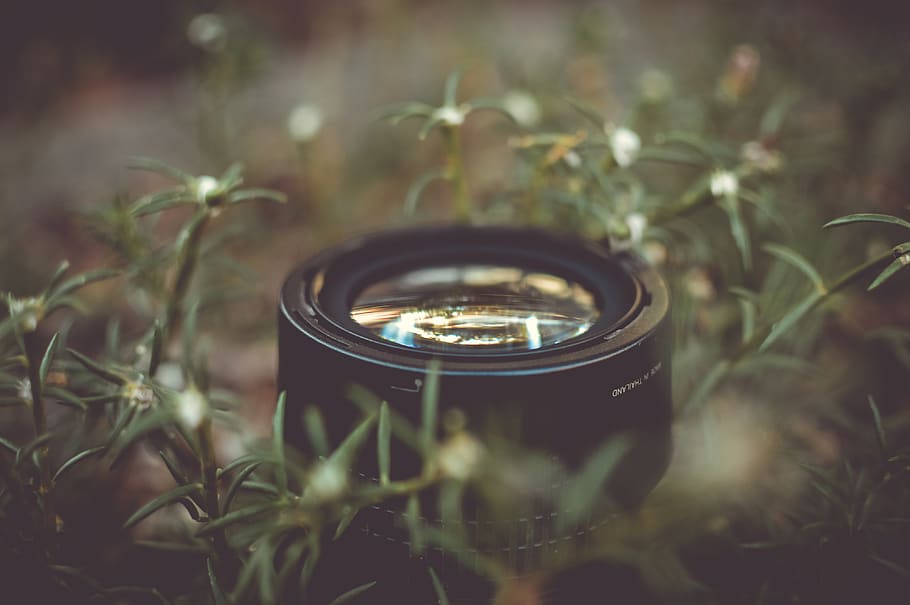 camera, lens, photography, grass, lawn, nature, selective focus HD wallpaper