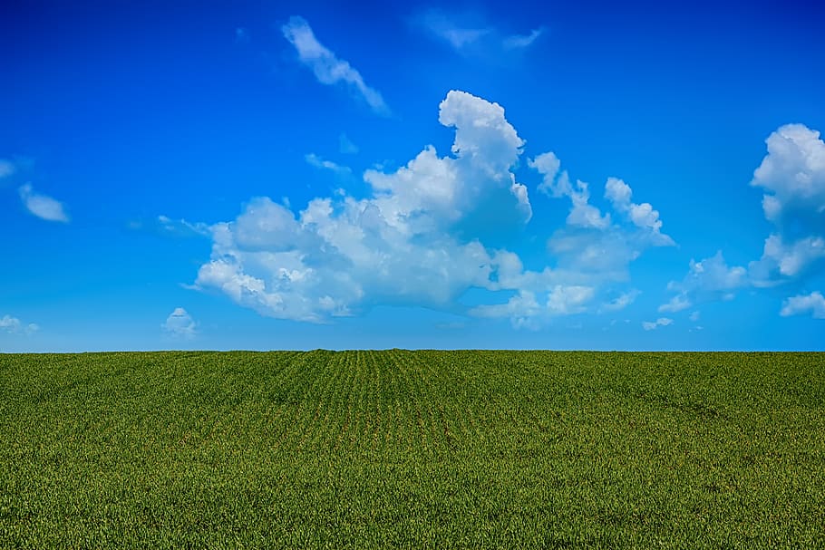 field, sky, clouds, landscape, rural, countryside, horizon HD wallpaper