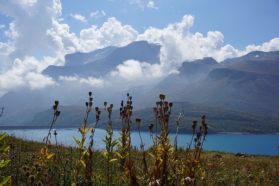 westalpen, lac du mont cenis, 2018, alpine, france, nature, HD wallpaper