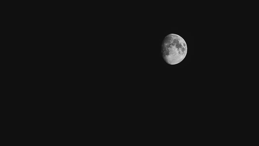moon, sky, night, stars, cheeseball, wolf, howl, nighttime, HD wallpaper