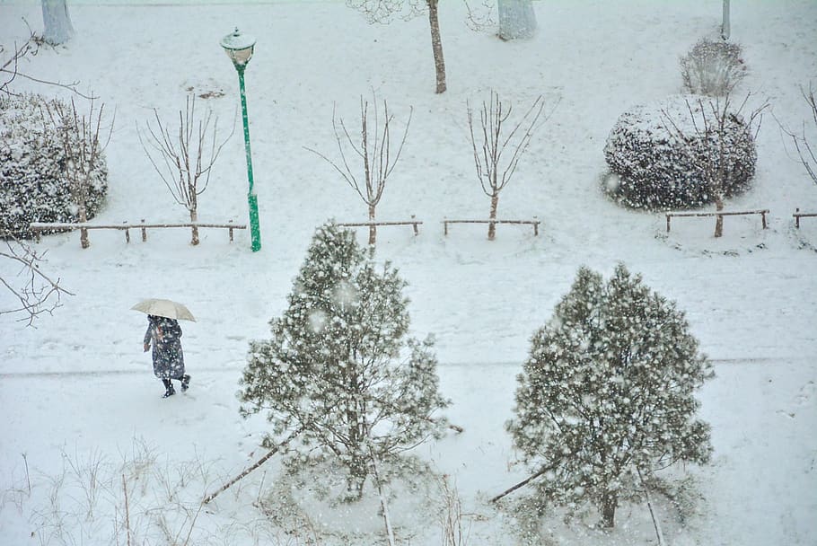 winter, outdoors, blizzard, storm, snow, nature, person, human HD wallpaper