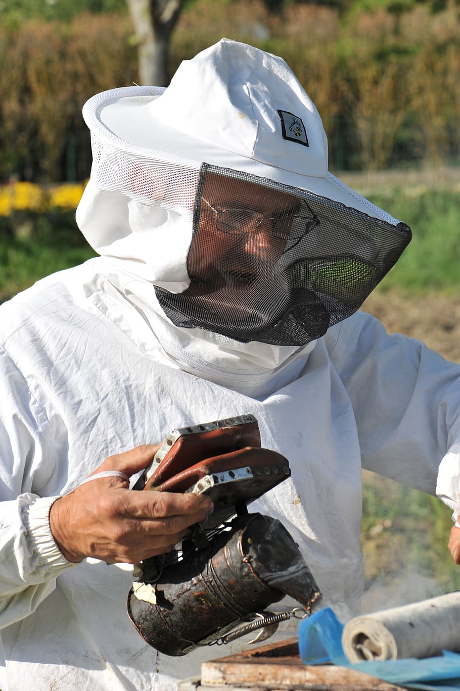 bees, beekeeper, honey, flower, one person, real people, technology