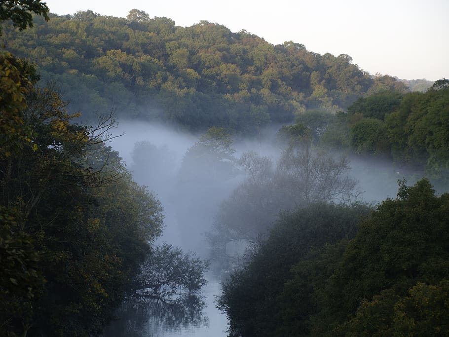 dawn, mist, trees, atmosphere, landscape, plant, beauty in nature HD wallpaper