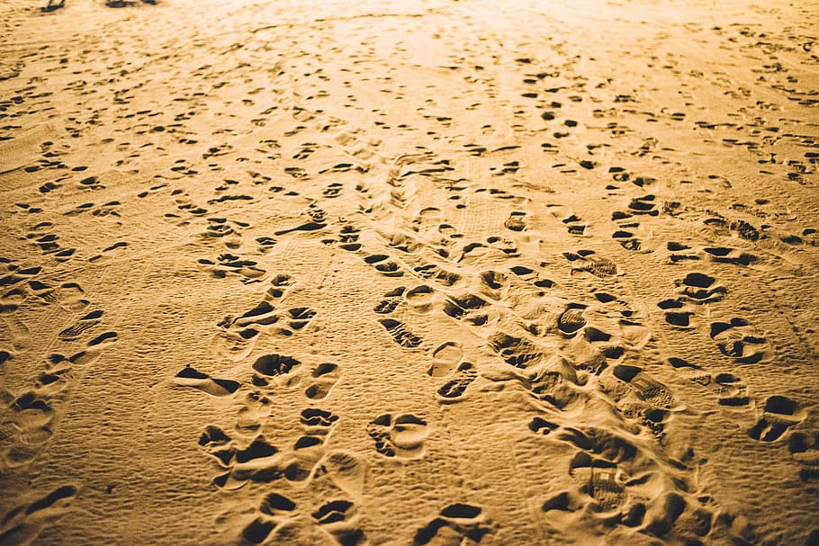 HD wallpaper: footprints, sand, feet, trail, beach, party, land ...