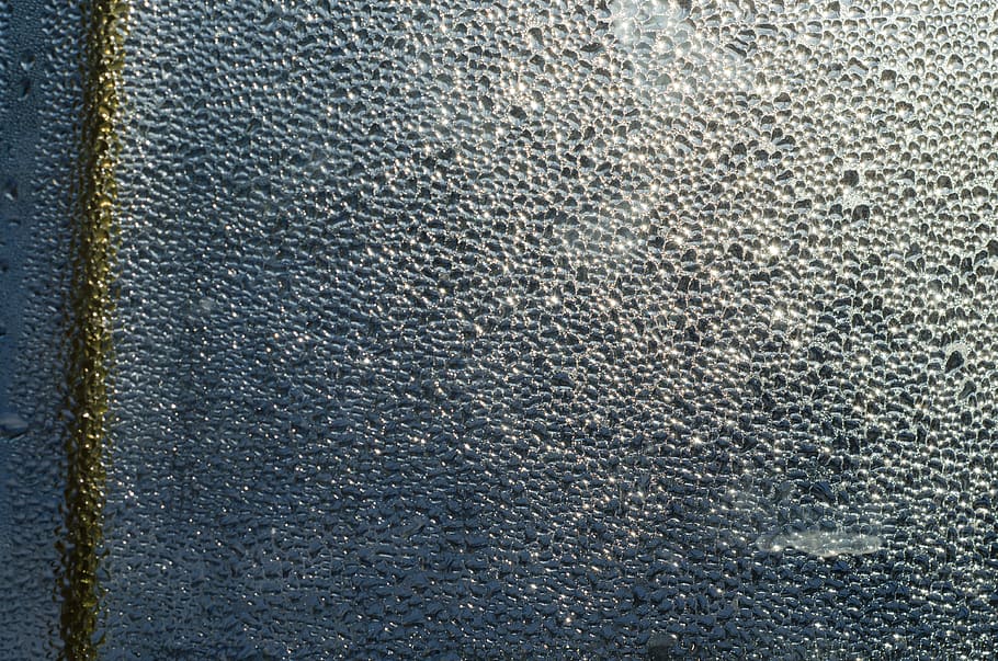 water, condensation, macro, drops, droplets, sun, light, window HD wallpaper