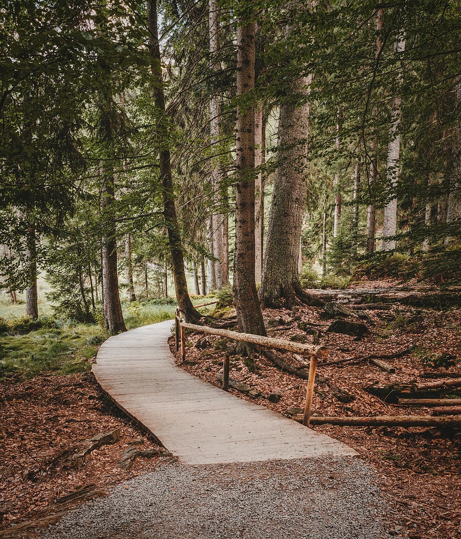 away, target, hike, hiking, nature, travel, route, curve, landscape HD wallpaper