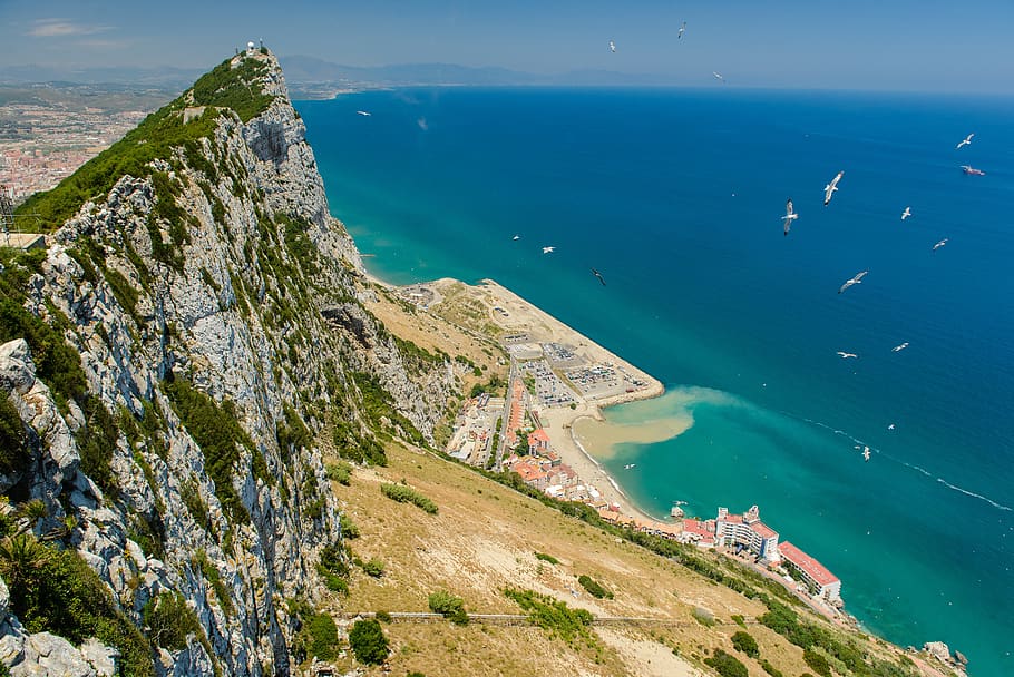 cliff beside seashore, seagull, bird, mountain, rock, gibraltar, HD wallpaper