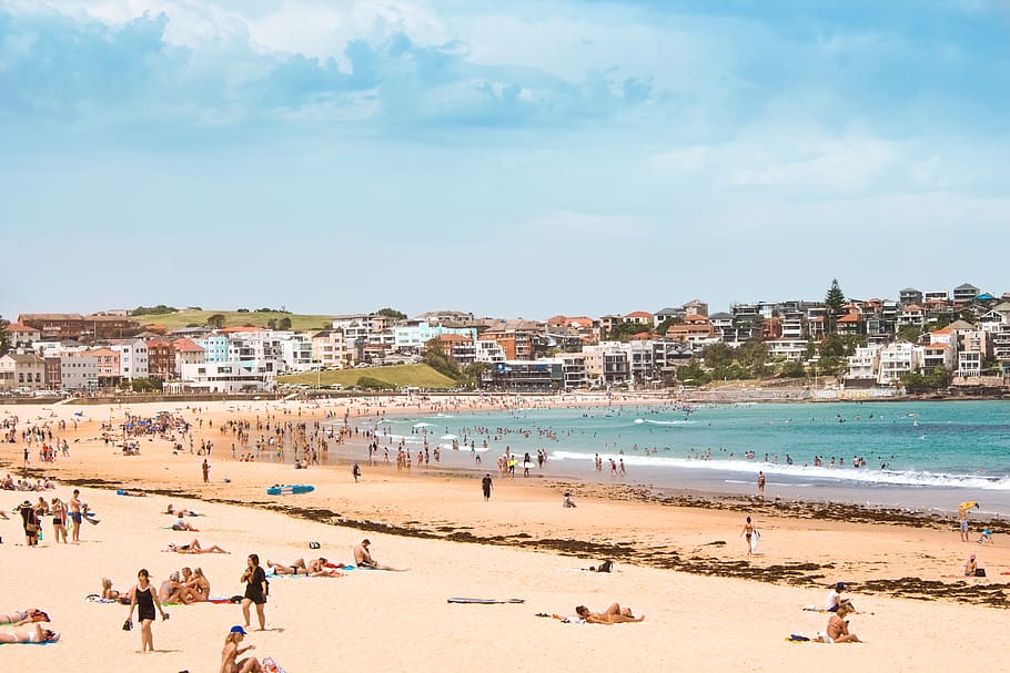 beach, sand, bondi, summer, sea, water, nature, holiday, coast HD wallpaper