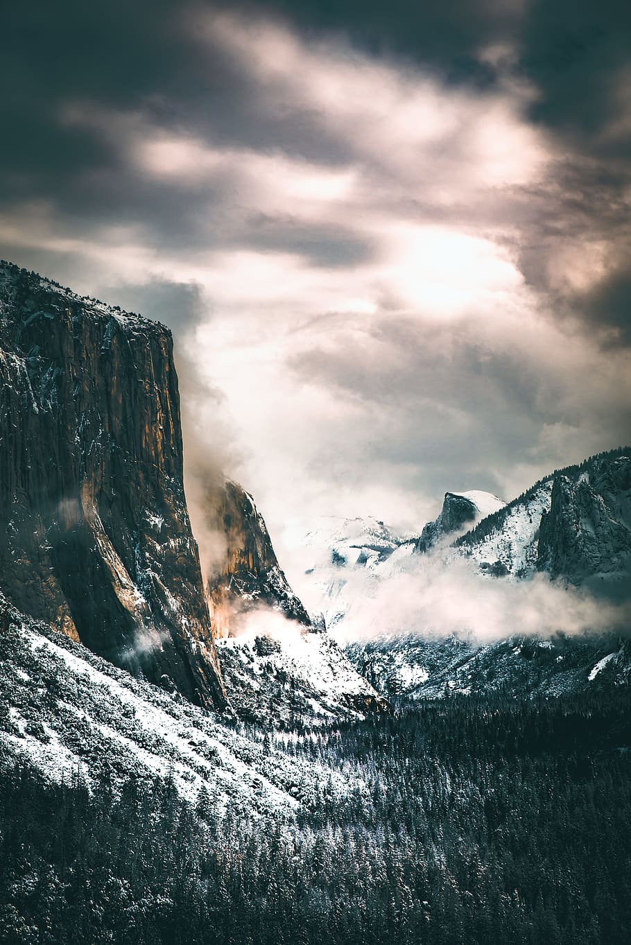 moody, winter, cold, tree, forest, yosemite, landscape, adventure HD wallpaper