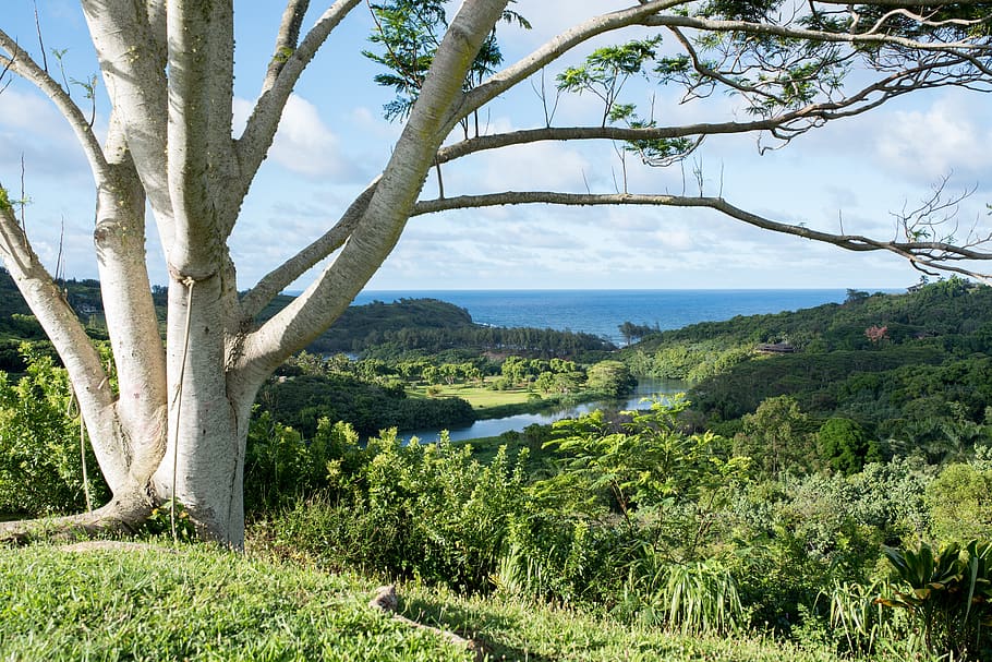 ocean, view, river, inlet, sea, water, coast, landscape, outdoor HD wallpaper