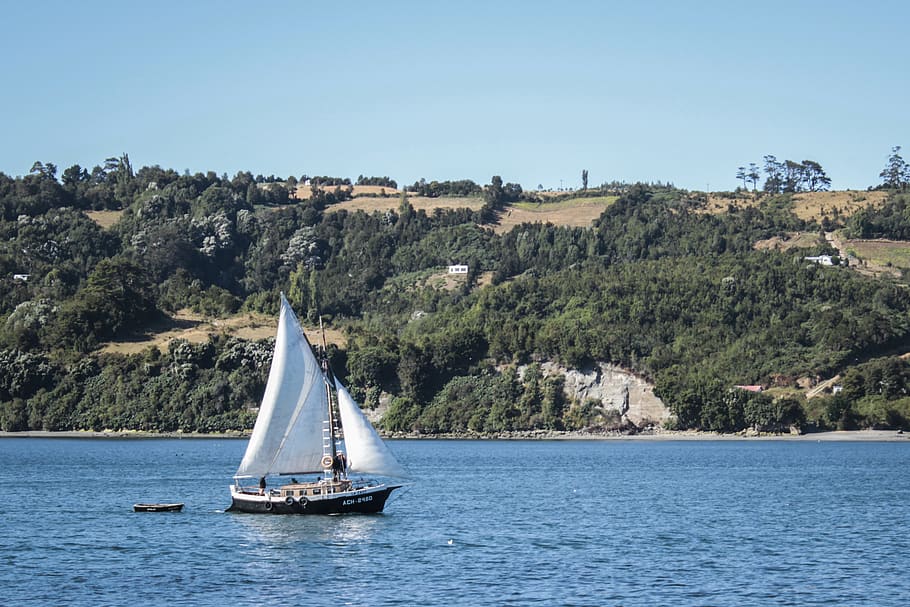 chile, chiloe, ocean, river, lake, trees, water, nautical vessel HD wallpaper