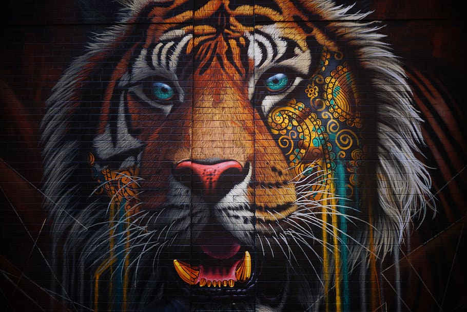 tiger street painting, close-up, animal, animal themes, portrait HD wallpaper