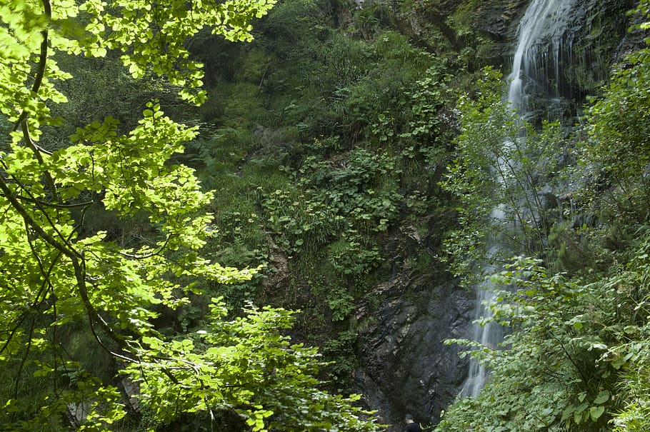 spain, waterfall xiblu, plant, tree, forest, beauty in nature HD wallpaper