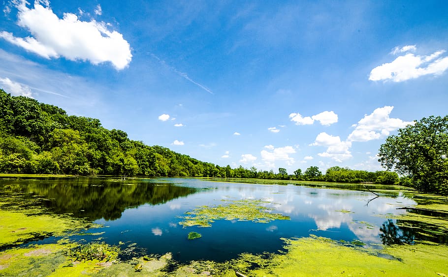 Landscape Photography of Body of Water Near Trees, cloud, reflection HD wallpaper