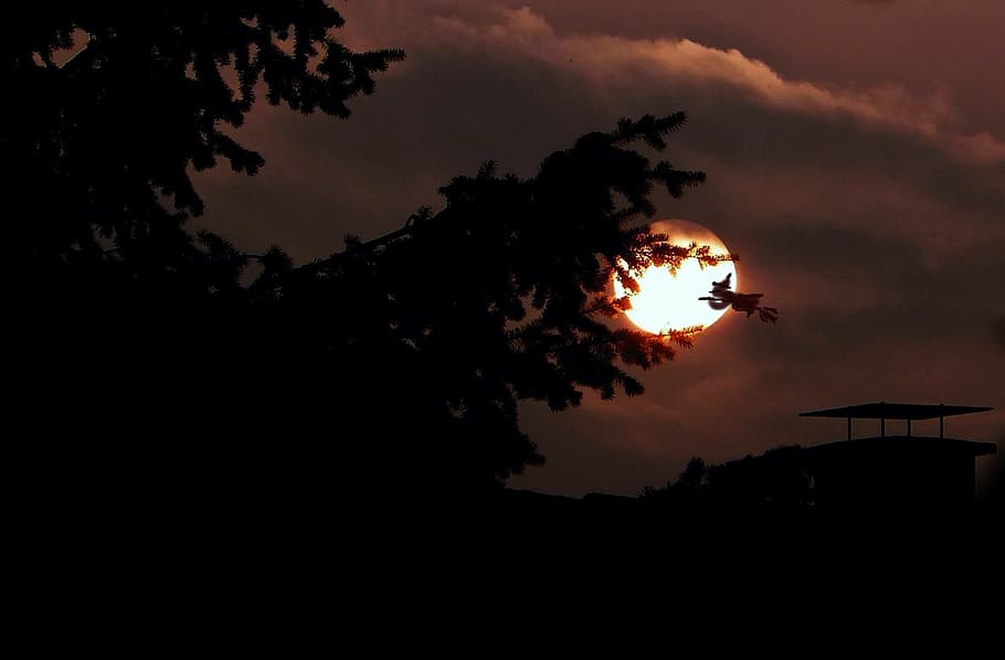 sunset, nature, black, silhouette, sky, cloud - sky, tree, no people HD wallpaper