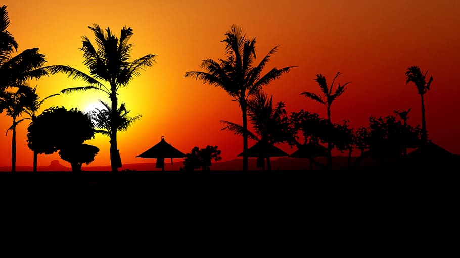 sunset, nature, beach, evening, landscape, sea, ocean, snow HD wallpaper