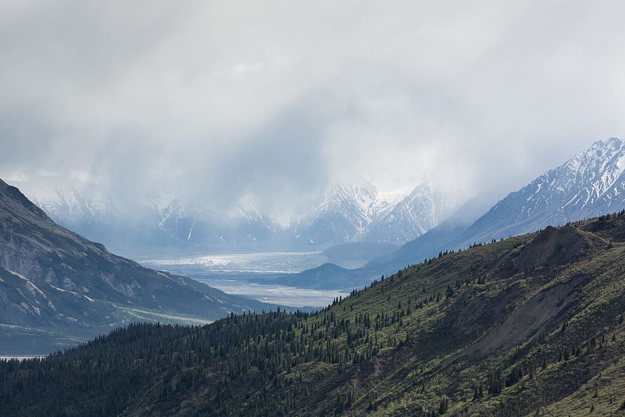 clouds, daylight, fog, forest, hill, landscape, mountains, nature HD wallpaper