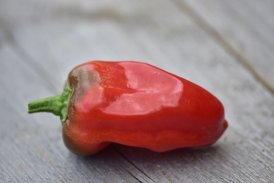 pepper, chilli, wood, red, close-up, food and drink, table HD wallpaper