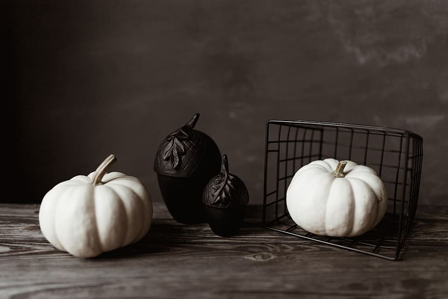 100 Free White Pumpkin  Pumpkin Images  Pixabay