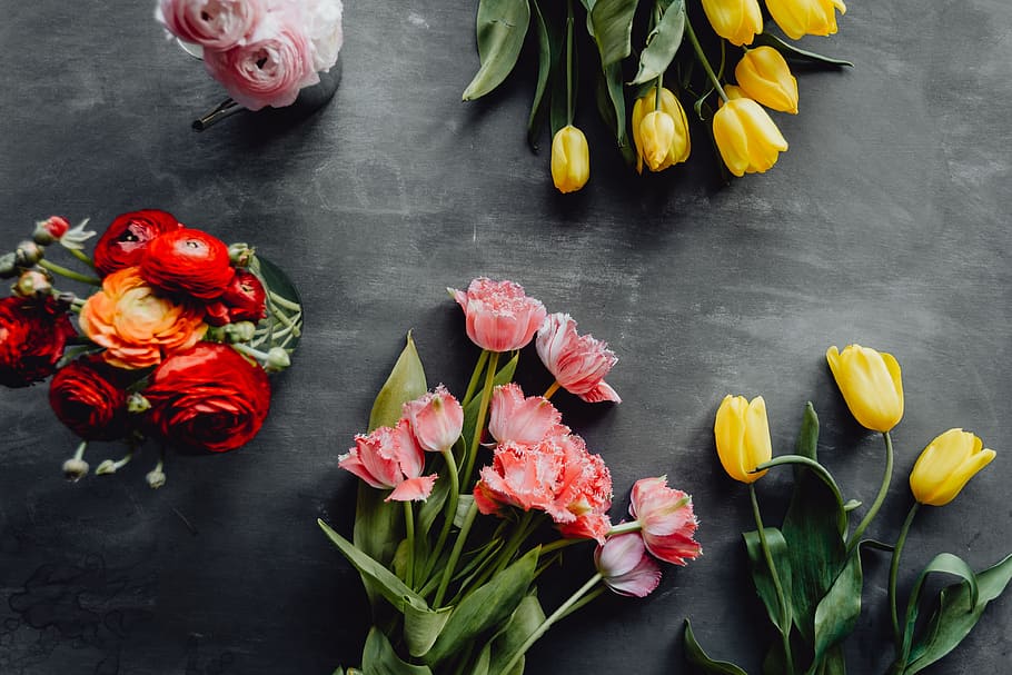 Colorful flowers on grey background with copy space, bloom, floral HD wallpaper
