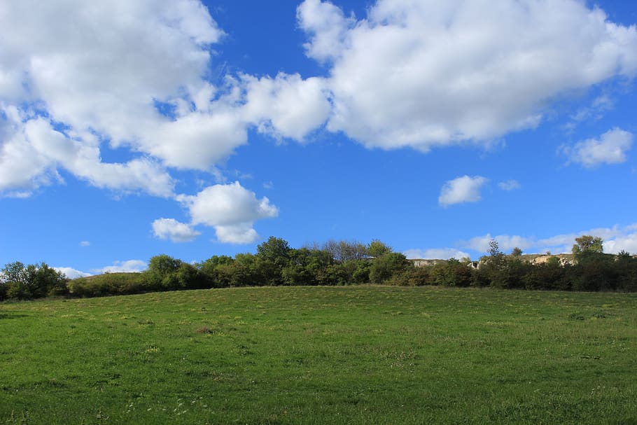 environment, sky, landscape, plant, grass, cloud - sky, scenics - nature HD wallpaper