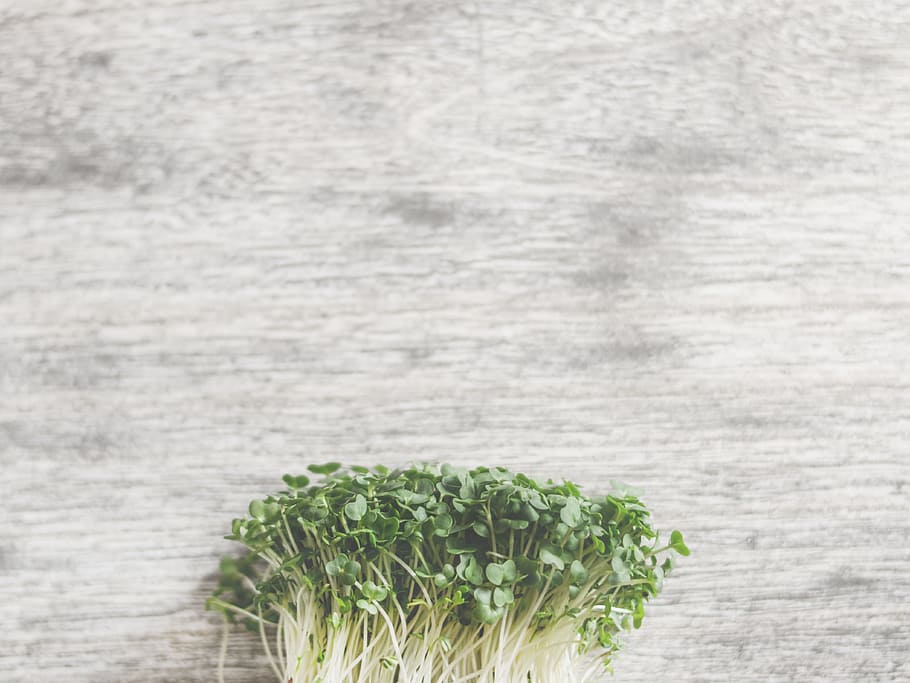 Green Vegetables, background, close-up, colors, fresh, fresh vegetables HD wallpaper