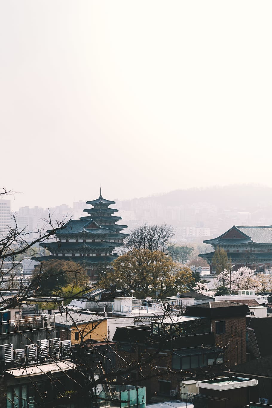 spire, tower, steeple, building, architecture, nature, temple HD wallpaper