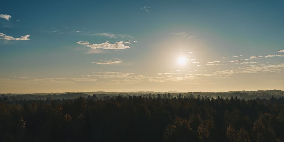 estonia, elva, tree, beauty in nature, tranquil scene, scenics - nature HD wallpaper