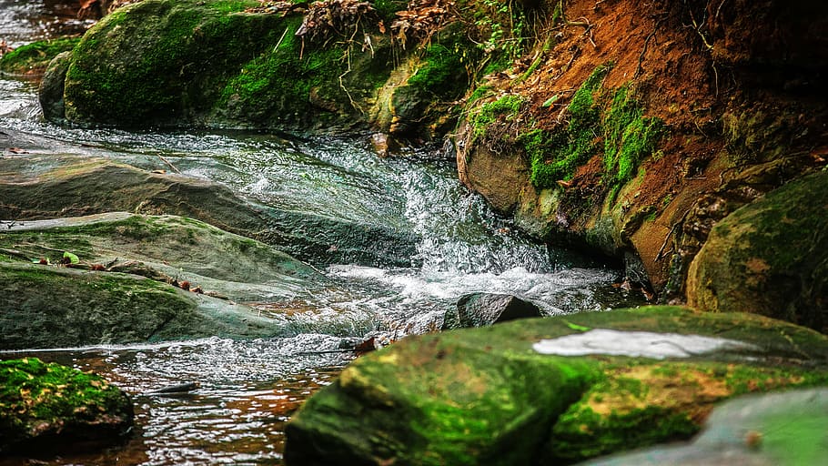 river, stream, rocks, moss, grass, brook, bubbling, water, rock - object, HD wallpaper