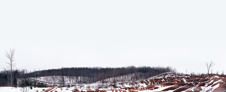 winter, pano, trees, canada, road, cold temperature, snow, copy space HD wallpaper