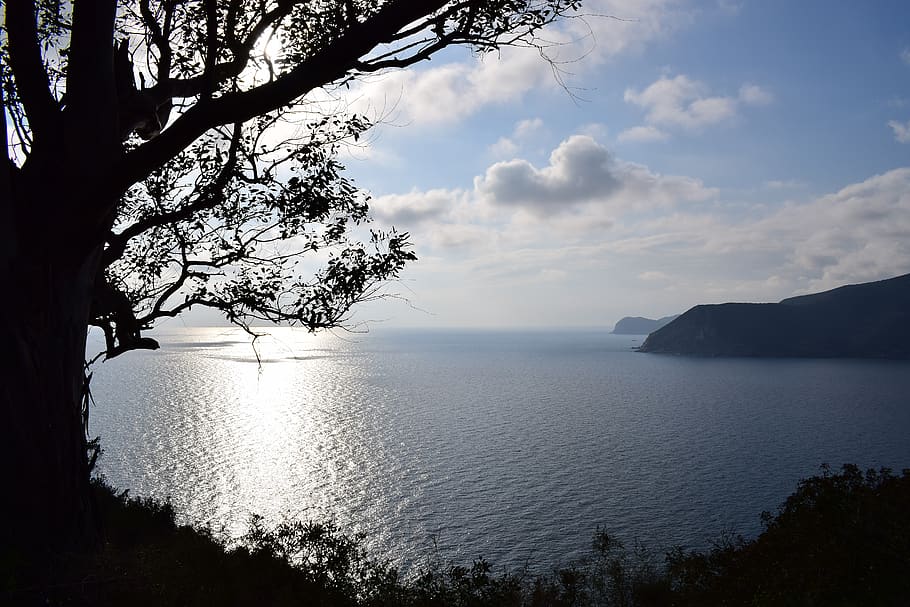 italy, elba, clouds, tree, sea, sky, water, beauty in nature HD wallpaper