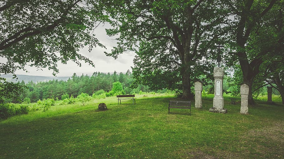 germany, bavaria, green, trees, landscape, stones, grave, grass HD wallpaper