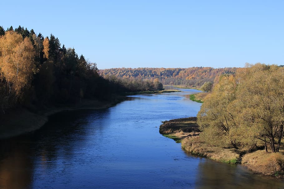 autumn, river, forest, sky, shadow, blue, moscow region, plants HD wallpaper