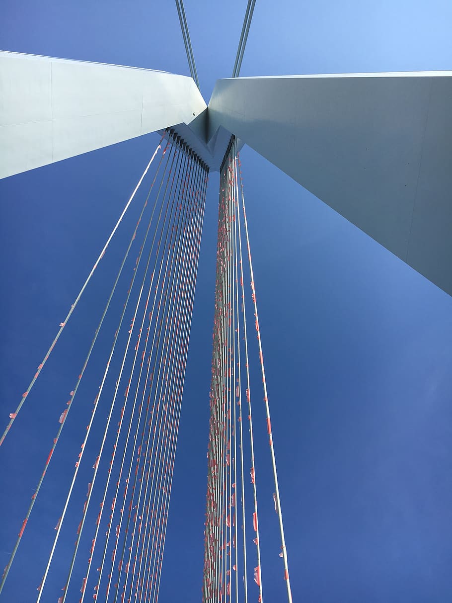 erasmus bridge, rotterdam, flags, air, holland, sky, low angle view HD wallpaper