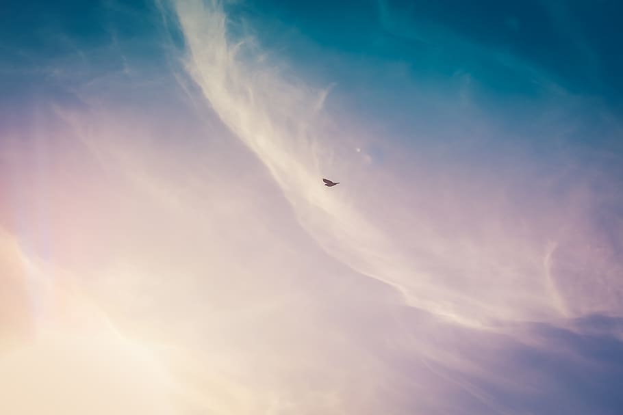 clouds, sky, aerial, bird, sun, sunny, blue, cloud - sky, beauty in nature HD wallpaper