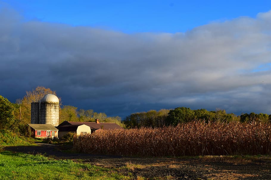 silo, farm, barn, sunlight, autumn, clouds, sky, agriculture HD wallpaper