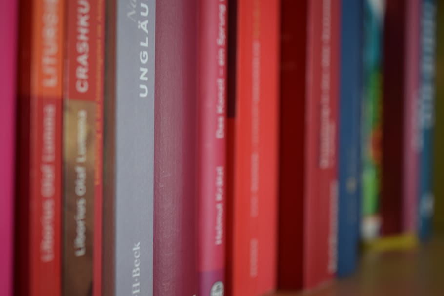 books, shelf, knowledge, education, literature, bookshelf, read HD wallpaper
