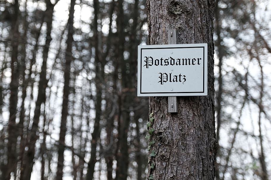 germany, hechingen, forest, sign, potsdamer platz, tree, communication, HD wallpaper