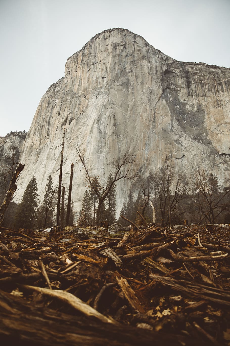 brown rocky mountain, outdoors, nature, cliff, mesa, wood, painting HD wallpaper