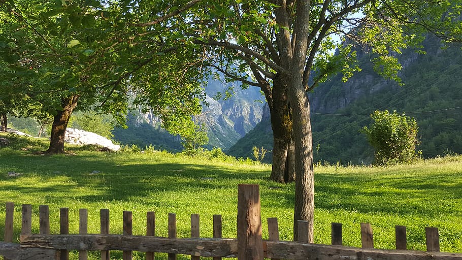 albania, theth, green, peace, nature, grass, mountain, beauty