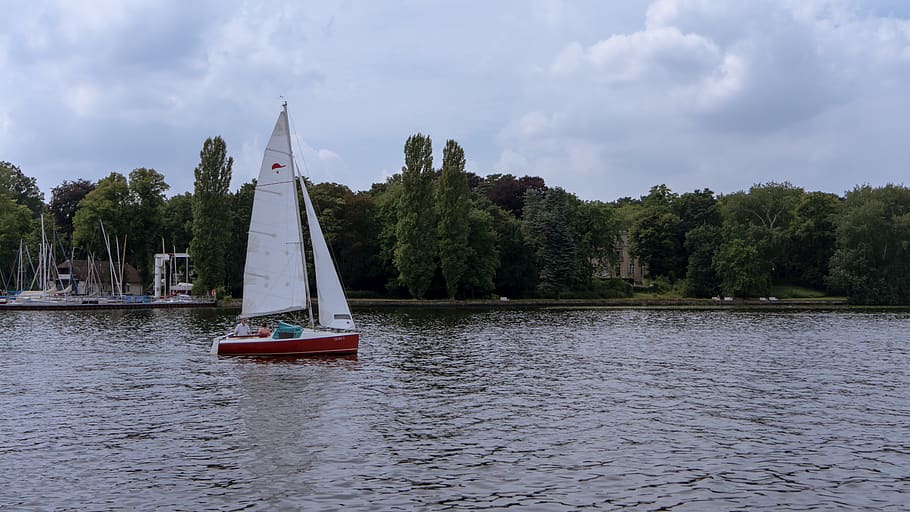wannsee, germany, berlin, tree, ship, ufer, water, segelboot HD wallpaper