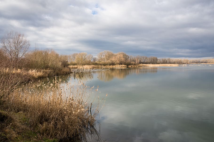 nature, reflection, tree, waters, landscape, winter, schönwetter HD wallpaper