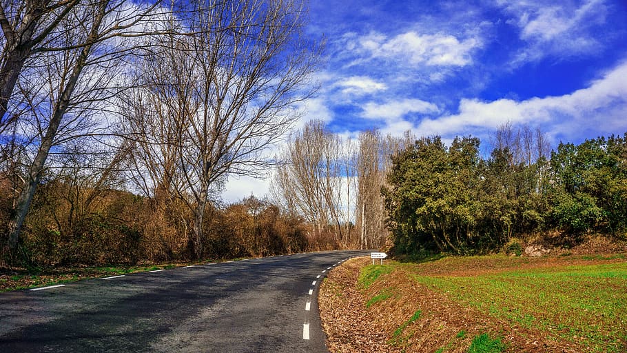 transit, communication, tree, nature, road, landscape, season HD wallpaper