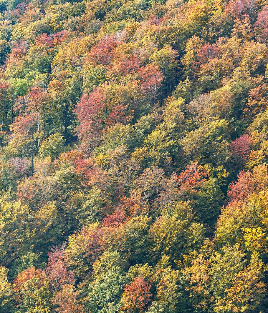 1920x1080px | free download | HD wallpaper: medvednica, croatia, sljeme ...