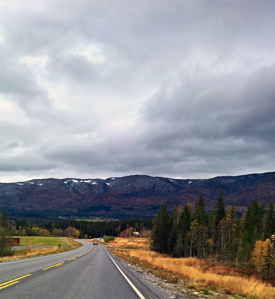 Gray Asphalt Road With Trees Under Cloudy Sky, adventure, cloudiness HD wallpaper