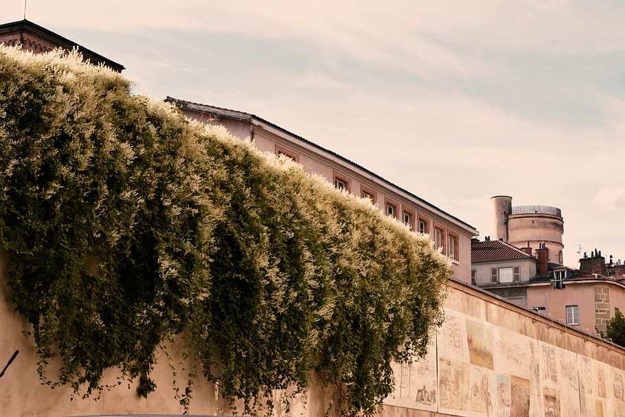 france, grenoble, built structure, building exterior, architecture HD wallpaper