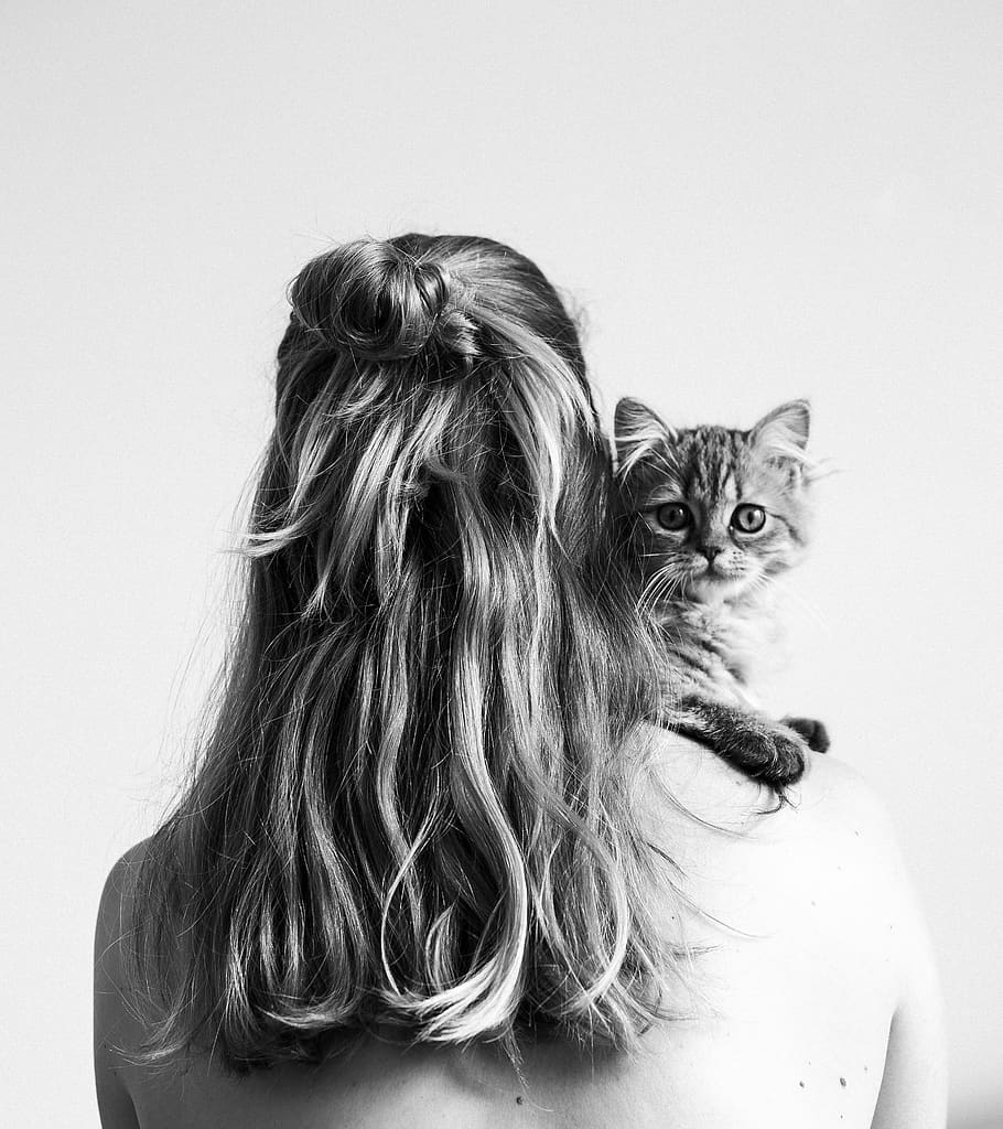 grayscale photo of woman carrying a kitten, netherlands, zwolle