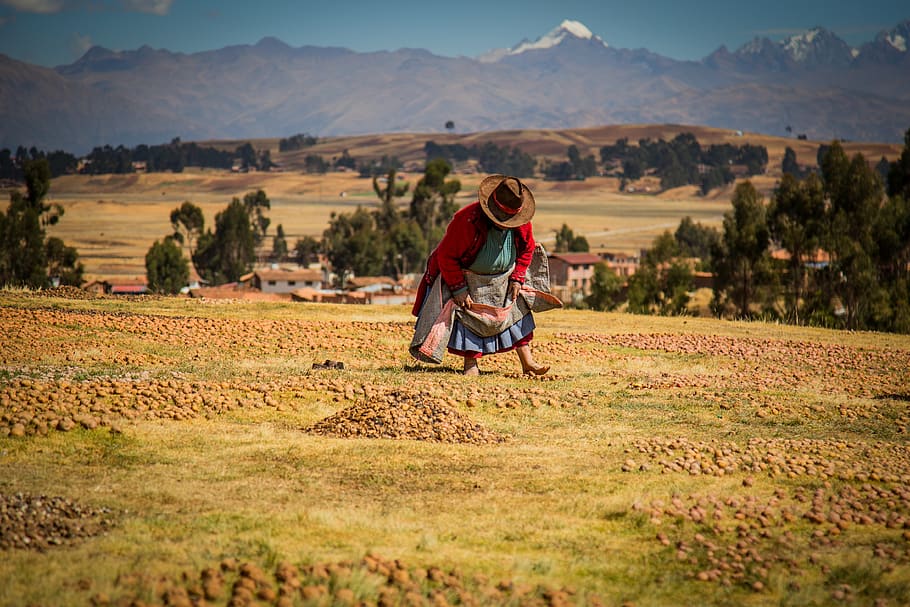 peru, chinchero district, field, landscape, real people, environment HD wallpaper