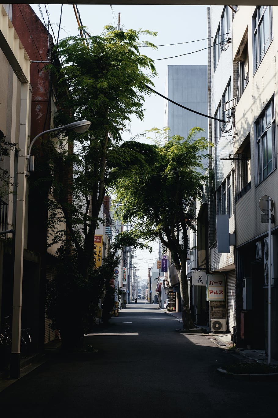 building exterior, architecture, city, tree, built structure HD wallpaper