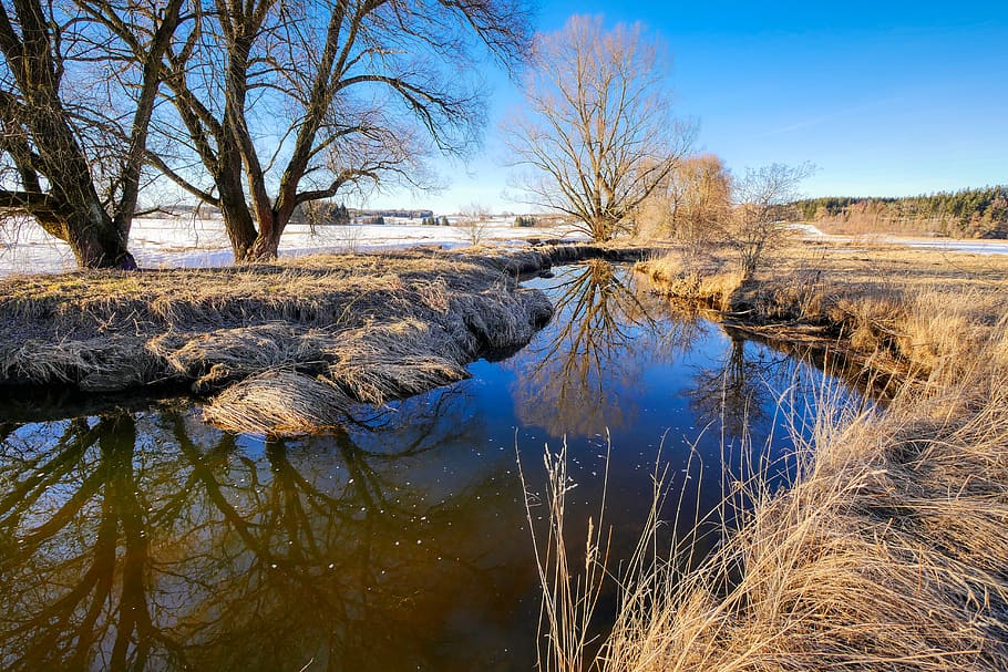 bach, winter, creek, wintry, nature, landscape, water, trees, HD wallpaper
